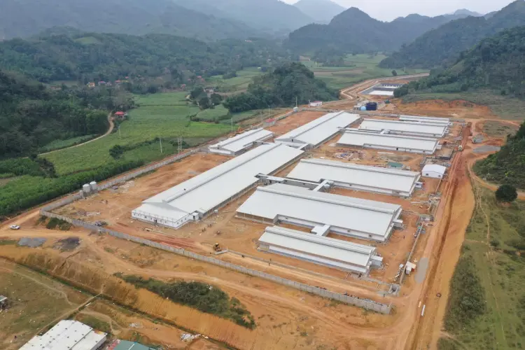 TRANG TRẠI CHĂN NUÔI KHÉP KÍN NEW HOPE